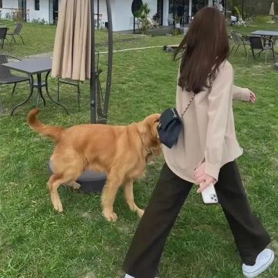 无依男孩