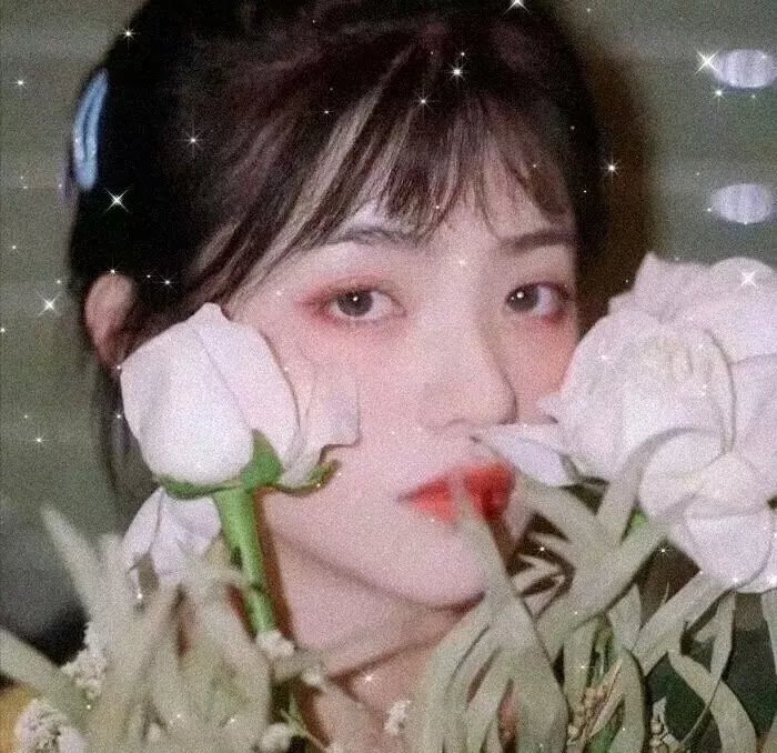 森林的精灵